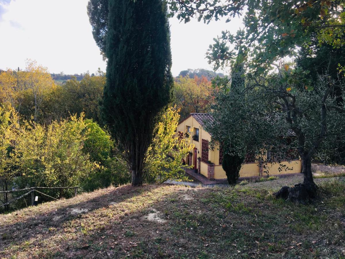 Viva House Villa Montaione Bagian luar foto